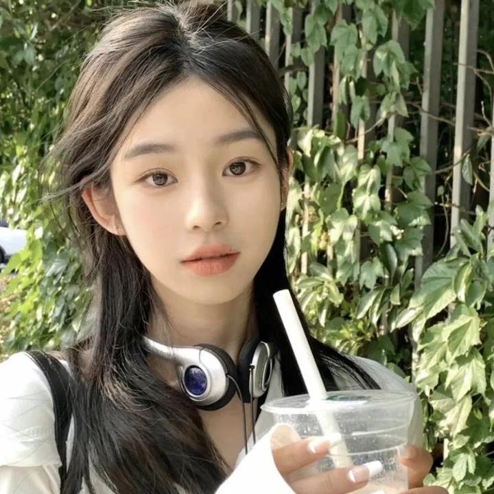 黑之契约者2:流星的双子